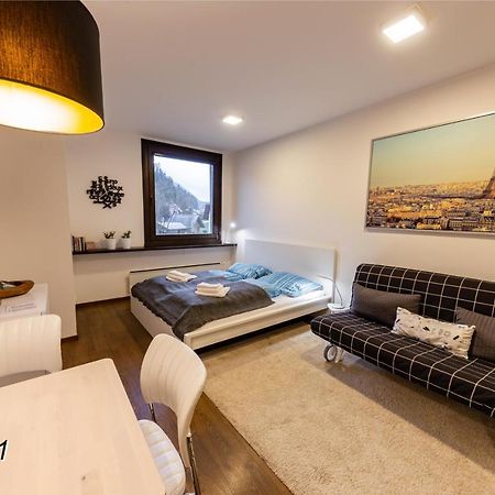 Appartement Sportwerk Gostling an der Ybbs Bagian luar foto